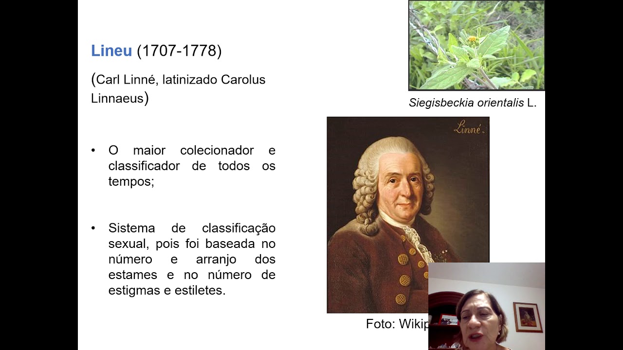 Aula 2 - Sistemas de Classificação