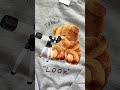 BUZO TEDDY TAKE A LOOK