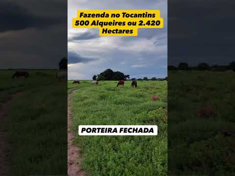 Fazenda 2.420 hectares – Dianópolis/TO