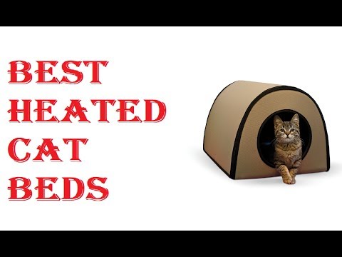 Best Heated Cat Beds 2021