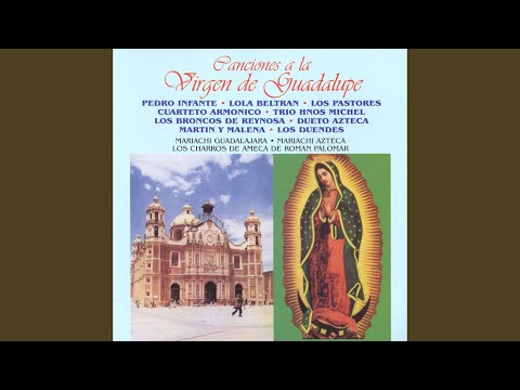 Reina De América - Hermanos Michel