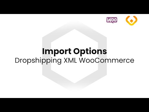 Dropshipping XML WooCommerce - Product Import Plugin - Import Options