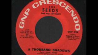THE SEEDS -  A THOUSAND SHADOWS sixties garage from the u.s