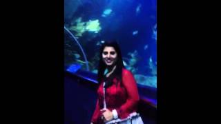 Download lagu Nidhi mp3 Download lagu Nidhi mp3