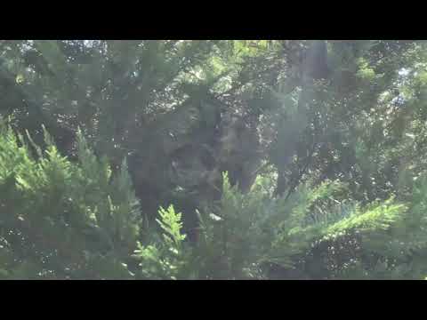 Pest Removal in Bradley Beach, NJ