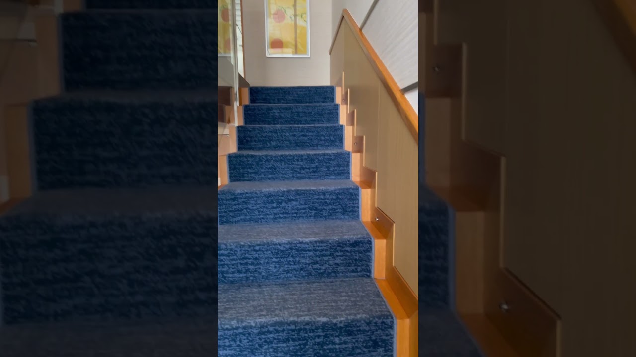 Oasis of the Seas - Cabin 1730 - Video 3