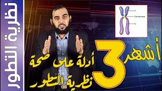 { نظرية التطور} (5) الكروموسوم الثاني في الإنسان؛ والعصب الحائر؛ وفيروس النسخ العكسي image