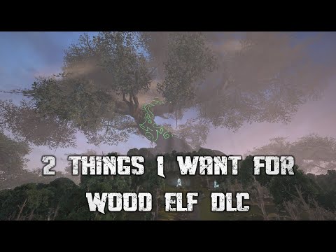 2 THINGS I WANT IN THE WOOD ELF DLC - Total War Warhammer 2