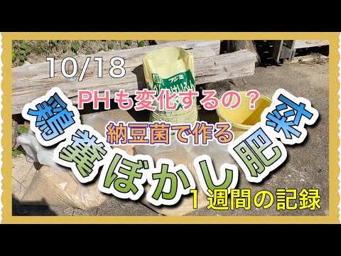 鶏糞乾燥肥料をいつ使用するか トマトを植えるときの天然肥料としてのマルチング 窒素土壌ビデオ