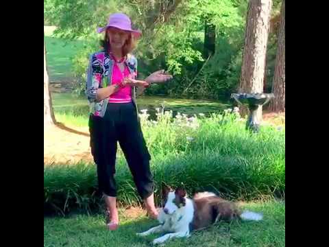 393 Do you have Psychic abilities?  Can you see Spirit? Afterlife, pet animals Brent Atwater medium