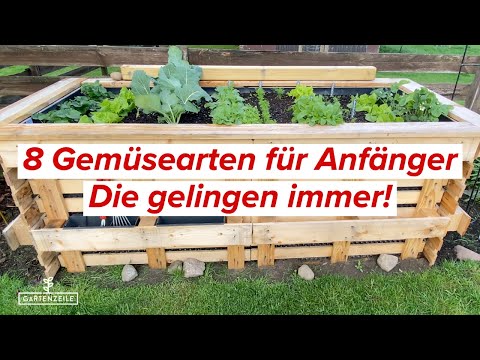 8 Gemüsearten für Anfänger | Eigenes Gemüse ganz einfach anbauen! Auch für den Balkon geeignet!