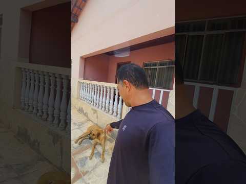 INTERIOR DE MINAS GERAIS, SENHORA DO PORTO MG