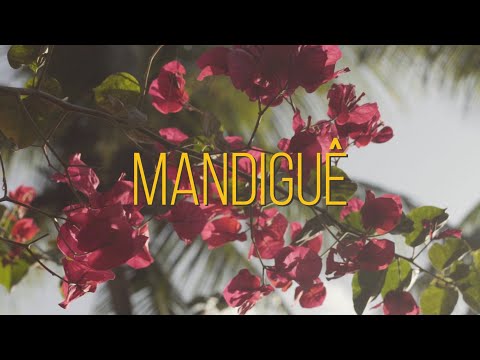 Mandiguê - Chorou Bebel
