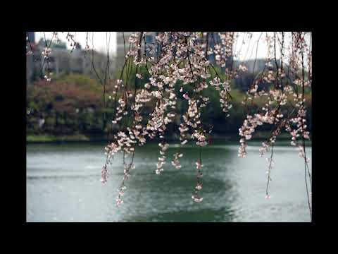 Gio Aria - Like A Dream