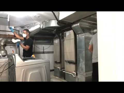 Dirt Docs Cleaning Service video.