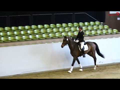 Katalog Nr. 12 Zappa