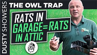 How  A Safety Harbor Exterminator Get Rats Out Of Attics Without Poison