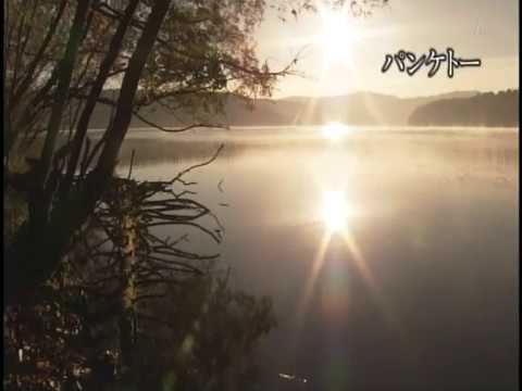 離れずに暖めて （阿寒湖） のサムネイル
