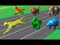 Learn Wild Animals Running Race Video For Kids Learn Animals Names Sounds For Children Toddlers