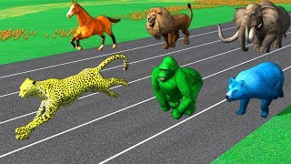 Learn Wild Animals Running Race Video For Kids - Learn Animals Names &amp; Sounds For Children Toddlers
