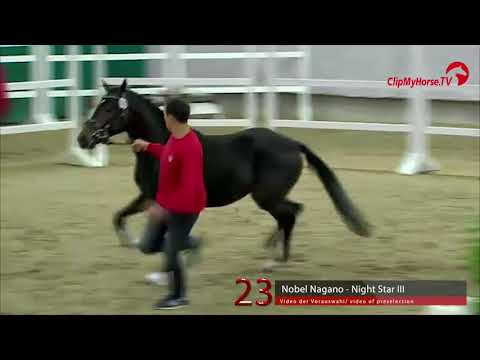 23 Junghengst v. Nobel Nagano - Night-Star III