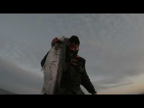 Big  seatrout from South Sweden! 4,5 kg and 72 cm. Boom!! On the first day of my trout journey.