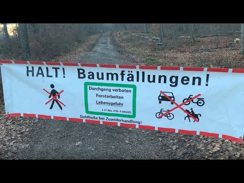 Förster Klaus - Waldgruß #58 - Waldregeln Teil 1