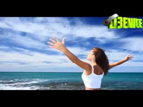 Best Electro House Mix 2013 Summer #01