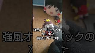 クレームゲームで取ったしゃべるぬいぐるみの紹介です【実写】【エイプリルフール】
