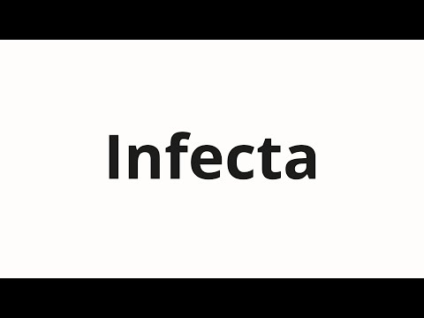 How to pronounce Infecta