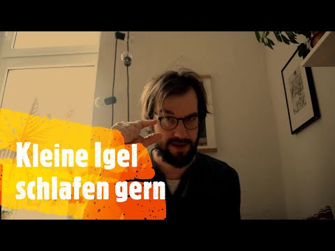 Kleine Igel schlafen gern - Kindergedichte mit BestZeller