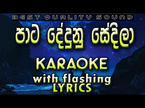 Pata Dedunu Sedila Karaoke with Lyrics (Without Voice)