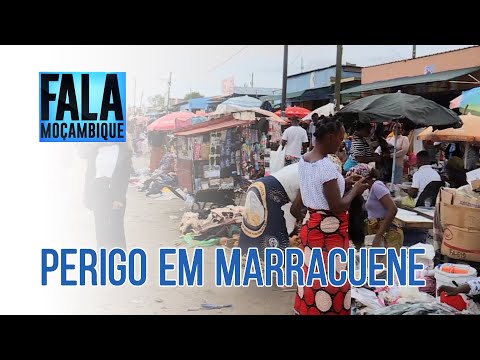 Vendedores de Bobole voltam em massa às bermas da EN1