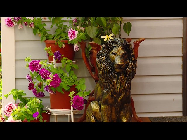 Садоводство с большой буквы – СНТ «Подсочка»