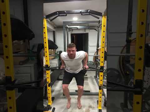 Dip Variations Form Beginner To Expert