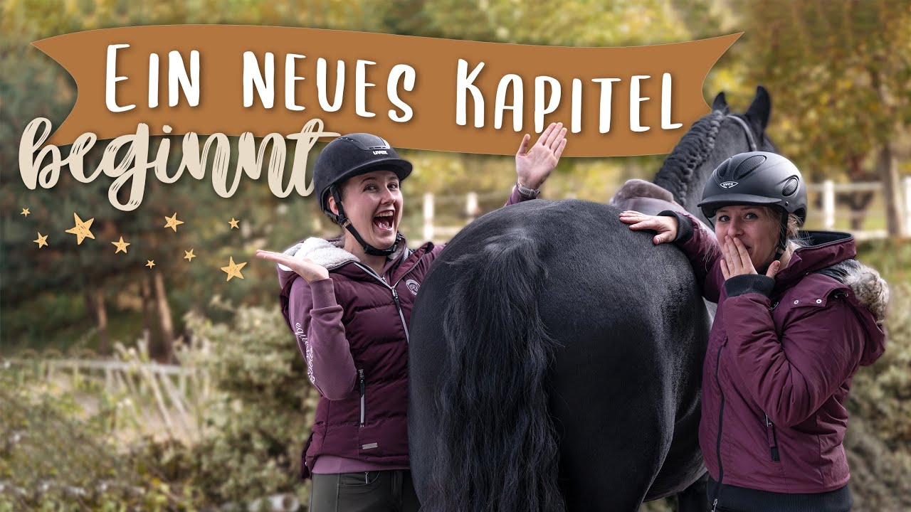 ZWEITES PFERD? 😍 Q&A im Stall | Pilsali