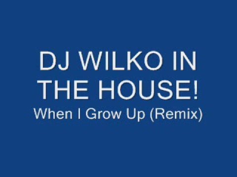 Dj Wilko - When I Grow Up (Remix)
