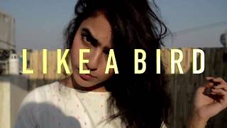 Trikome x Kosmikbloom - Like A Bird (Music Video)