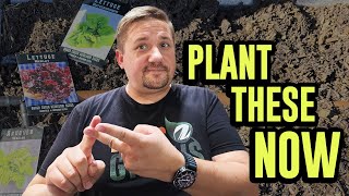 Secrets to a Successful Garden in September!