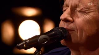 Stefan Sundström &amp; Karin Renberg - Grön grön grön [ Live on Go&#39;kväll @ SVT 2014-04-04 ]