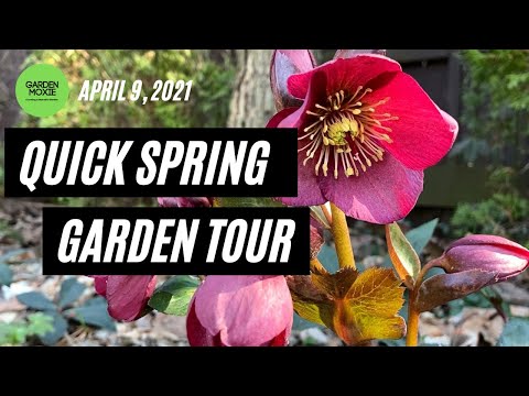 Spring Garden Tour