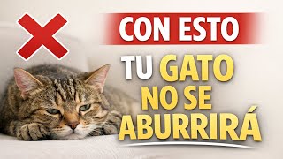 Los 7 mejores juguetes interactivos para gatos (funcionan de verdad)