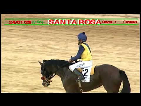 Arima Race Club - Day 1 January 24th 2026 Race -3