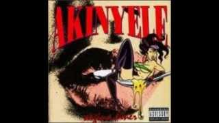 Akinyele - You Gotta Go Down (feat. Doo Wop,Fat Joe,Pretty Boy Floyd & Lord Tariq) (1995)