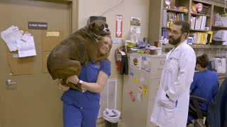 These Animal Doctors Are Helping An Ex-Con With His Dreams Of Becoming A Vet