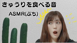【ASMR】【音フェチ】【プチモッパン】きゅうりを食べる動画