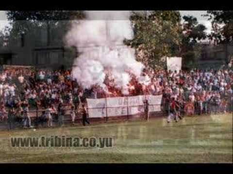 VITEZOVI OBILIC 1996 ULTRAS BEOGRAD