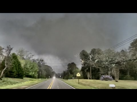 March 25, 2021 Tornado Outbreak (Centreville, AL Tornado)