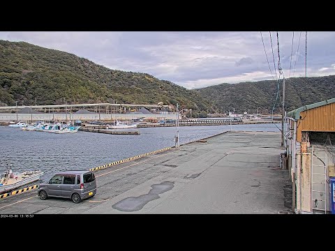 神前浦のライブカメラ映像