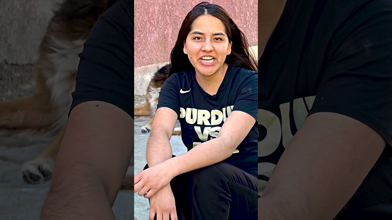 OEB Incubadora de pollitos. La historia de Mariel